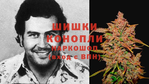 твердый Новодвинск