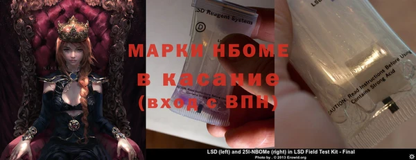 твердый Новодвинск