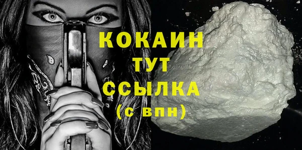 твердый Новодвинск