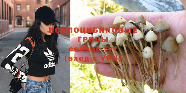 кокс Новозыбков