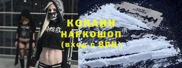 твердый Новодвинск