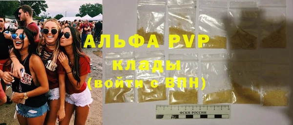 твердый Новодвинск