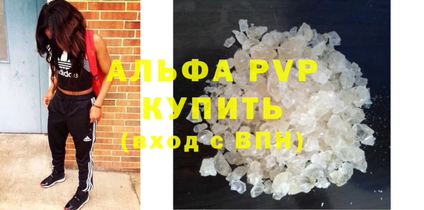твердый Новодвинск