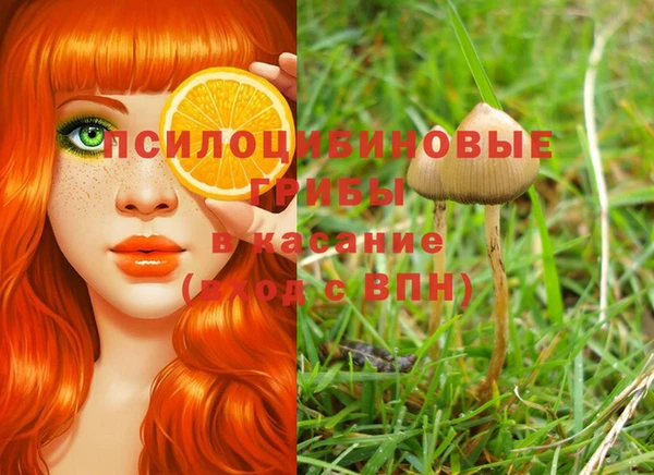 твердый Новодвинск